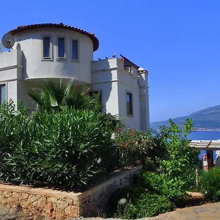 Vaha * Kalkan